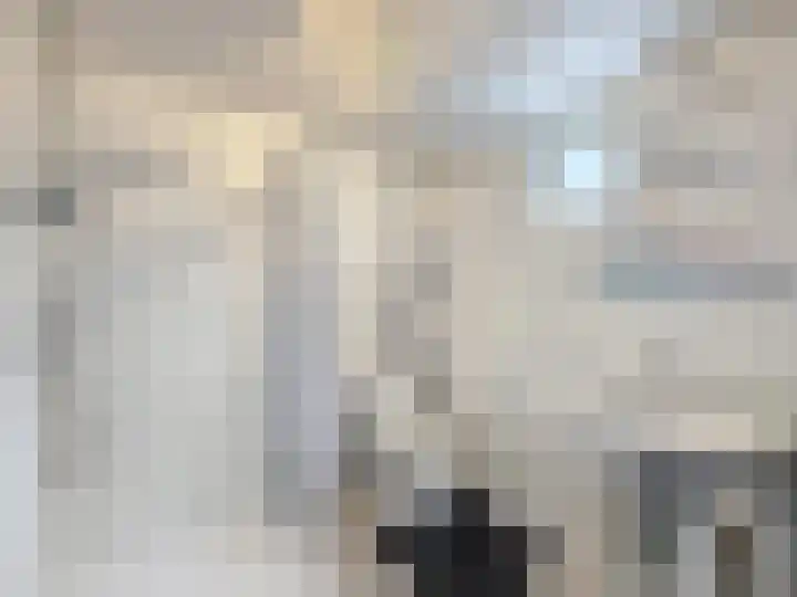 Vogelenzang 23 Breskens thumbnail 16