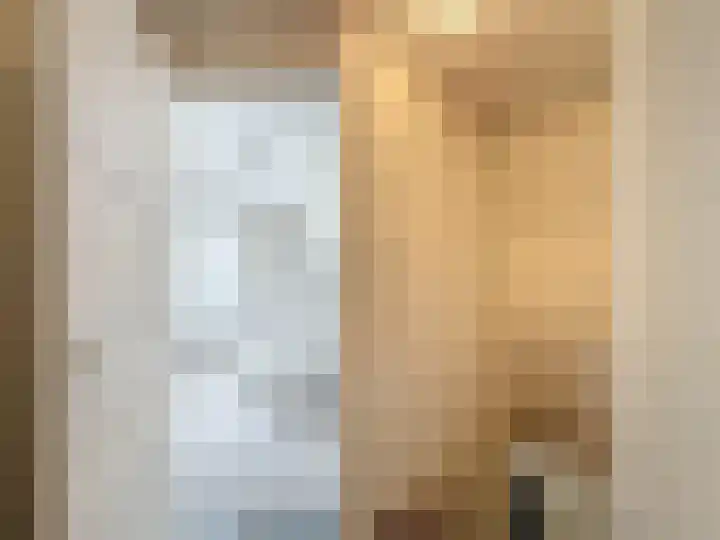 Vogelenzang 23 Breskens thumbnail 17