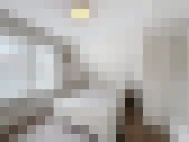 Vogelenzang 23 Breskens thumbnail 18