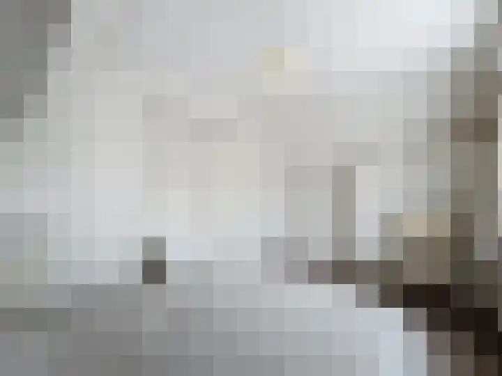 Vogelenzang 23 Breskens thumbnail 19
