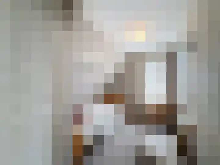 Vogelenzang 23 Breskens thumbnail 22