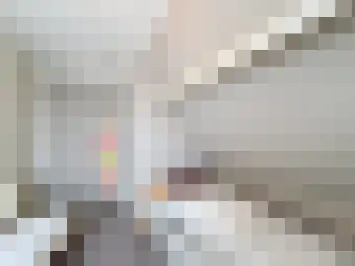 Vogelenzang 23 Breskens thumbnail 23