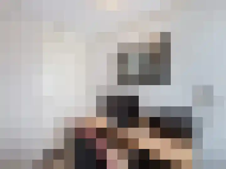 Vogelenzang 23 Breskens thumbnail 26