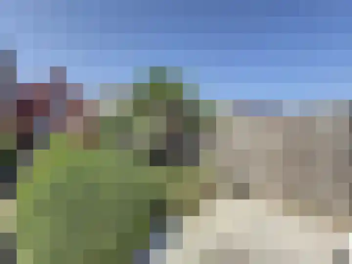 Vogelenzang 23 Breskens thumbnail 32