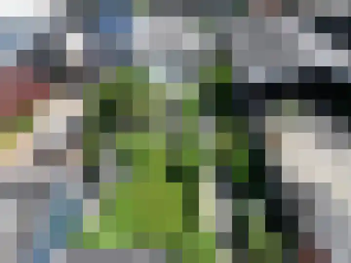 Vogelenzang 23 Breskens thumbnail 34