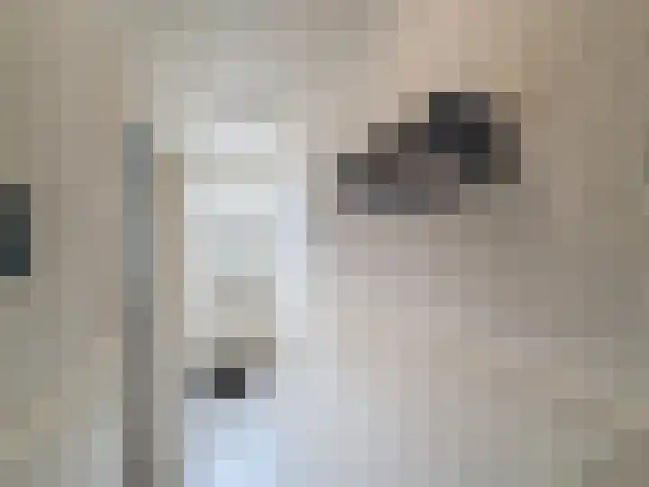 Vogelenzang 23 Breskens thumbnail 4