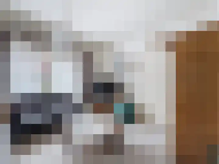 Vogelenzang 23 Breskens thumbnail 5