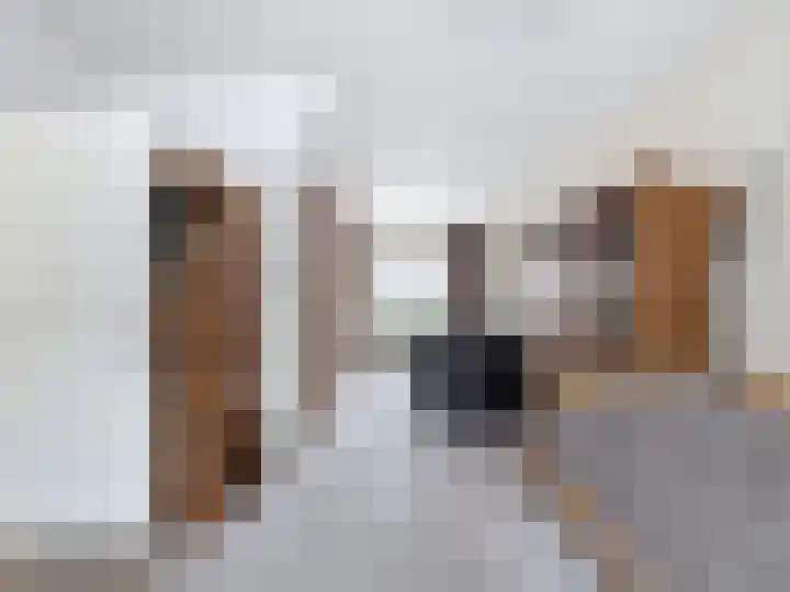 Vogelenzang 23 Breskens thumbnail 6