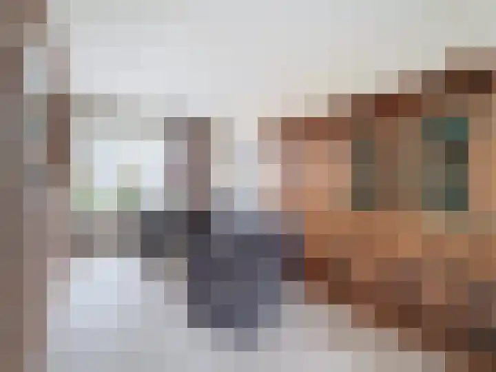 Vogelenzang 23 Breskens thumbnail 8