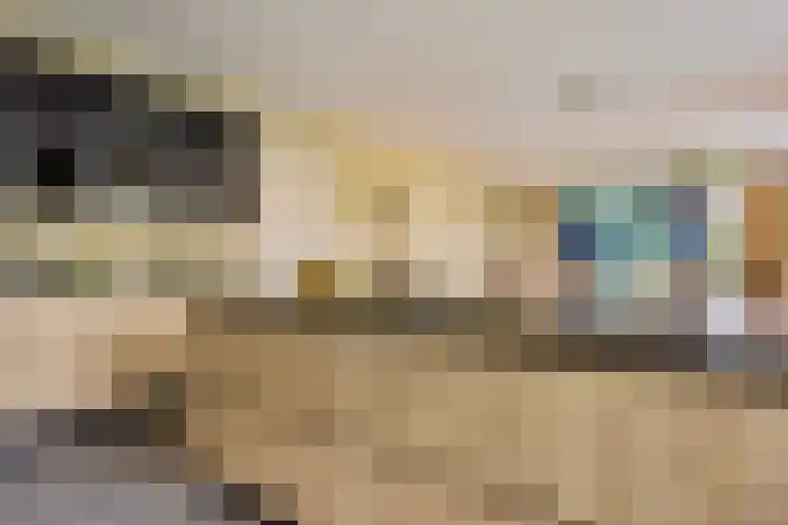 Vogelenzang 3 d Haaren thumbnail 14