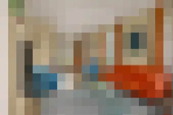 Vogelenzang 3 d Haaren thumbnail 15