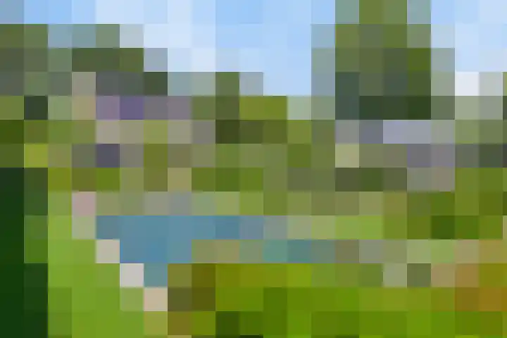 Vogelenzang 3 d Haaren foto 2