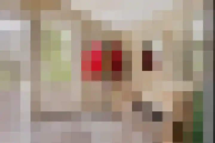 Vogelenzang 3 d Haaren thumbnail 22
