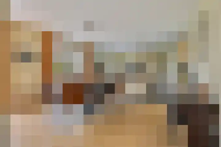 Vogelenzang 3 d Haaren foto 3