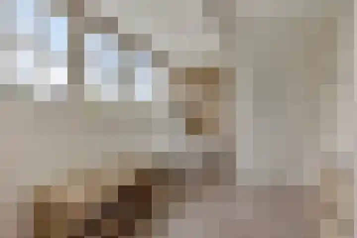 Vogelenzang 3 d Haaren thumbnail 31