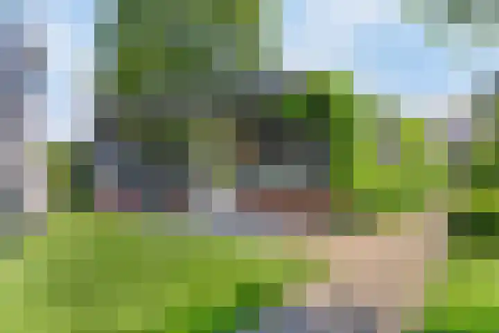 Vogelenzang 3 d Haaren thumbnail 56