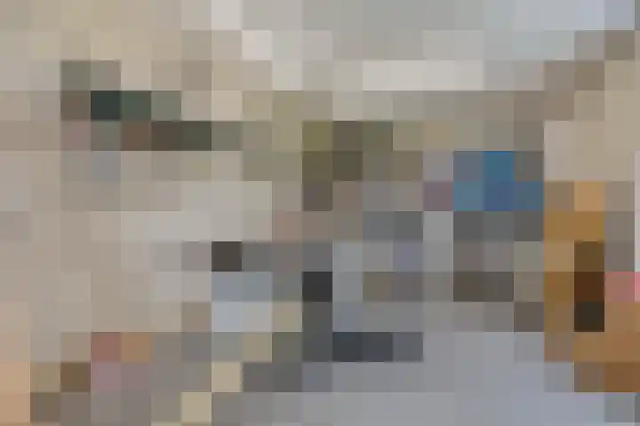 Vogelenzang 3 d Haaren thumbnail 57