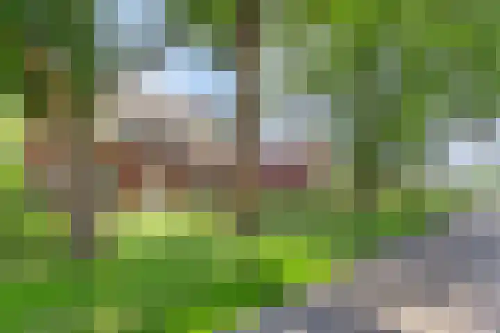 Vogelenzang 3 d Haaren thumbnail 64