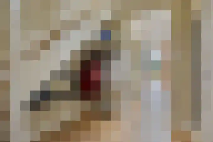 Vogelenzang 3 d Haaren thumbnail 7