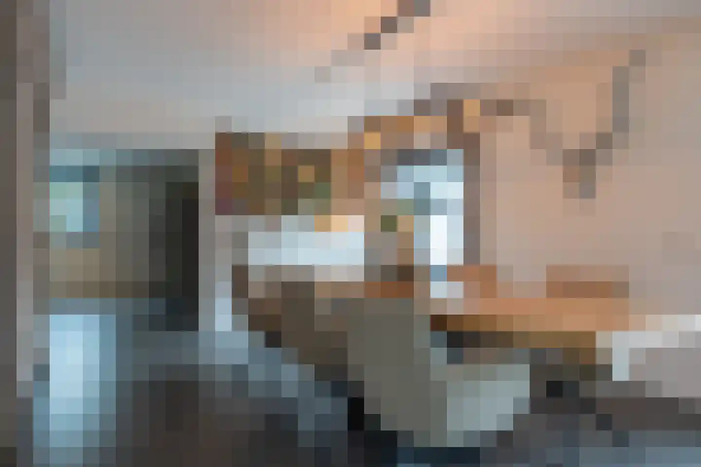 Vogelenzang 31 Lieshout thumbnail 21