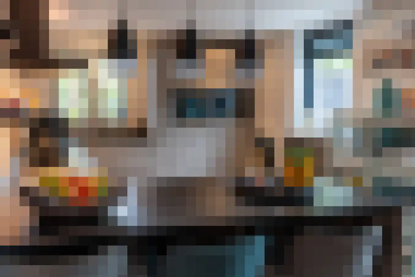 Vogelenzang 31 Lieshout thumbnail 24