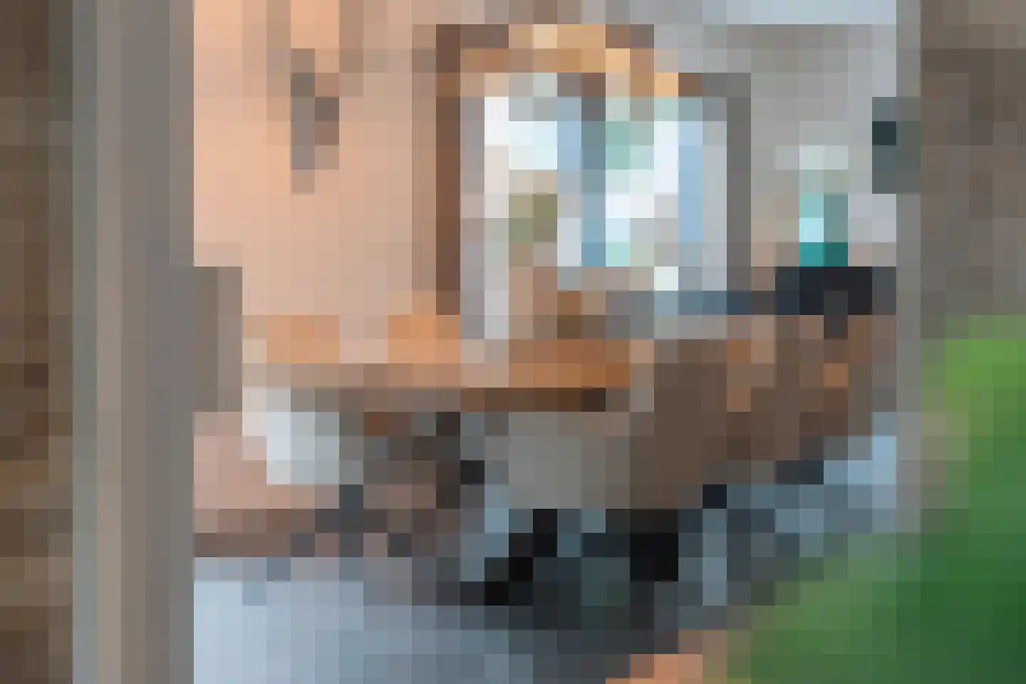 Vogelenzang 31 Lieshout thumbnail 31