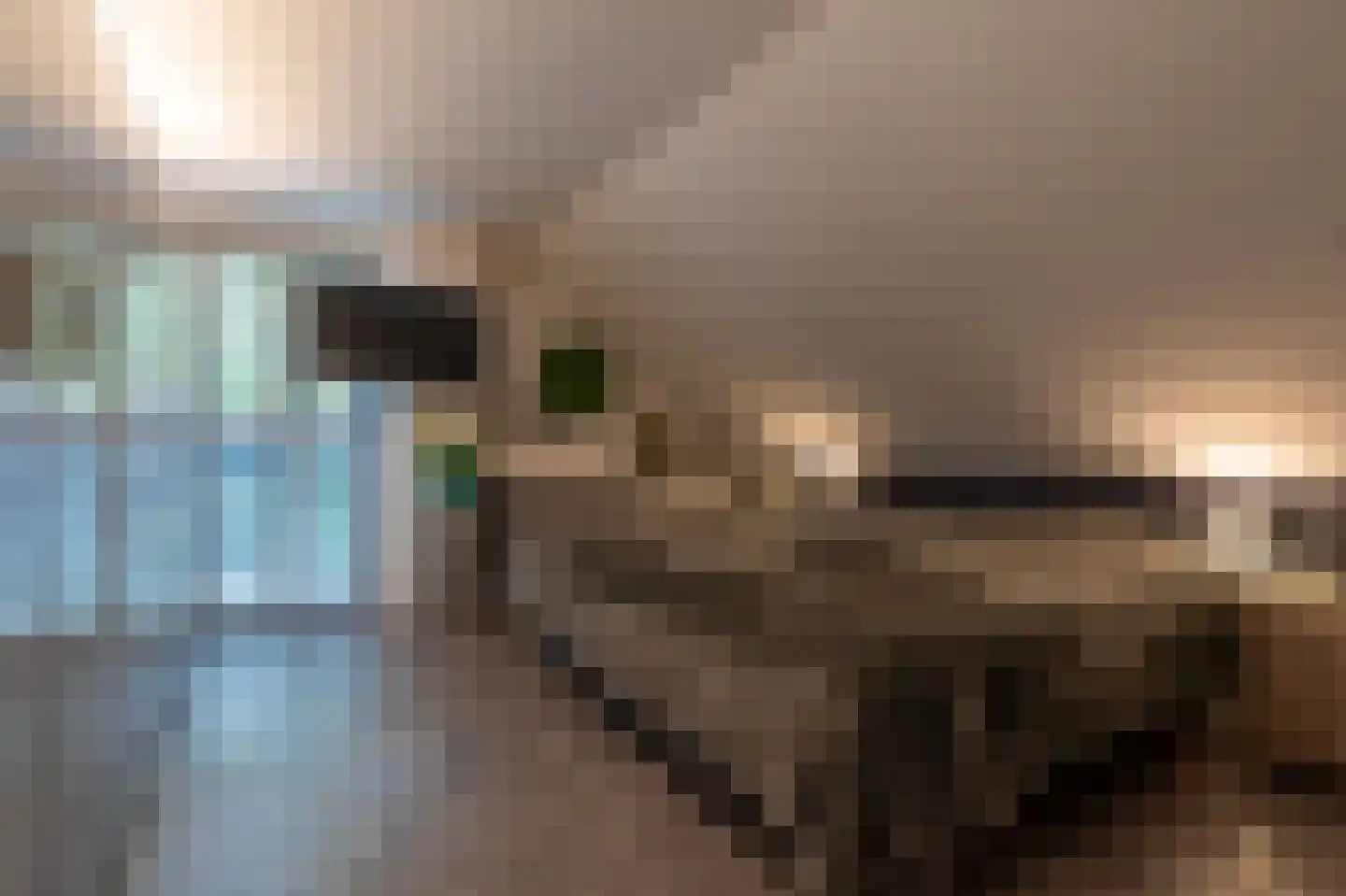 Vogelenzang 31 Lieshout thumbnail 38