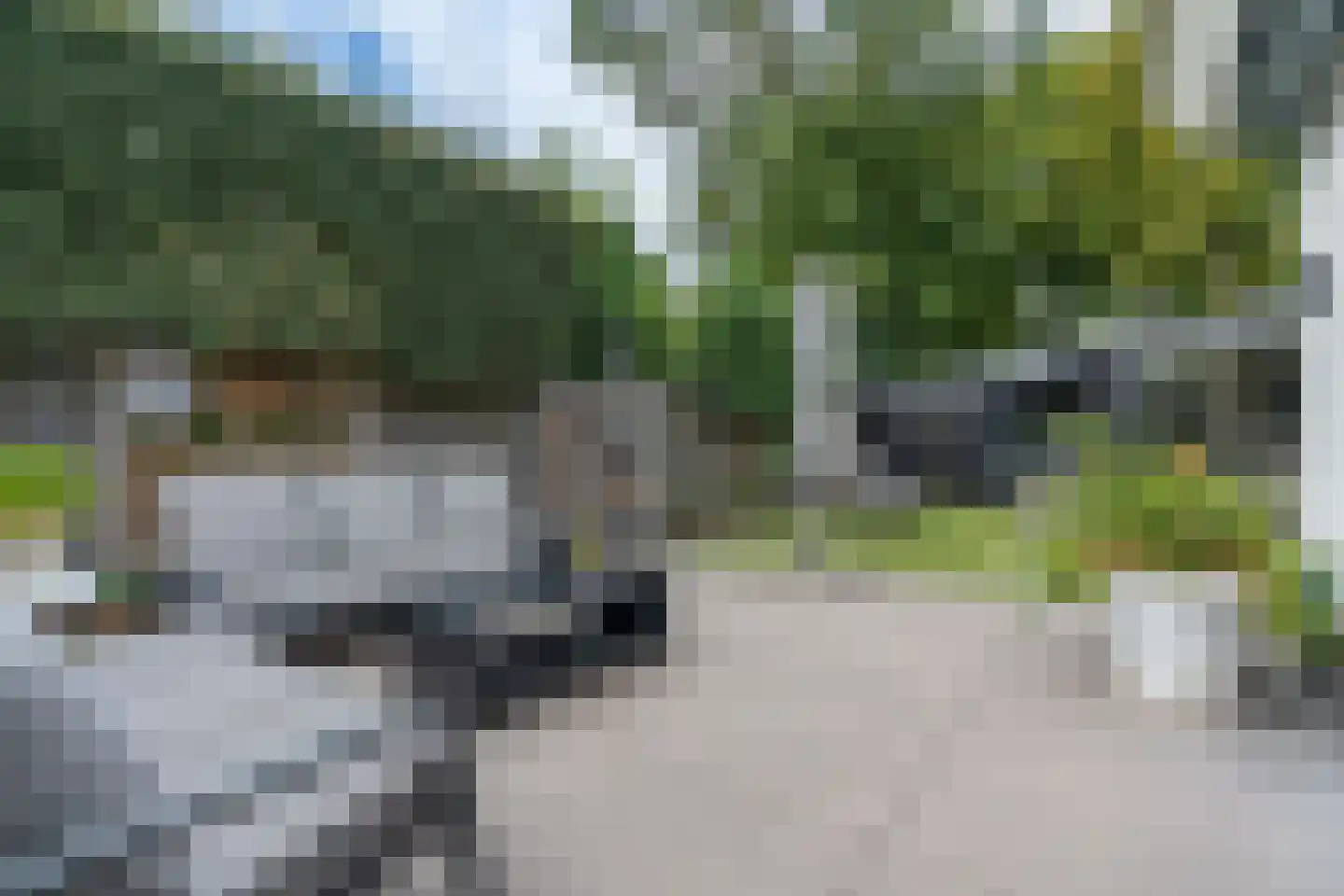 Vogelenzang 31 Lieshout thumbnail 55