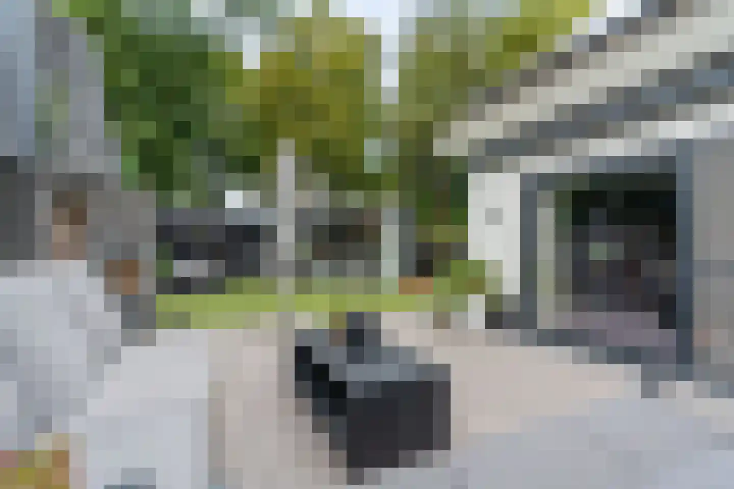 Vogelenzang 31 Lieshout thumbnail 60