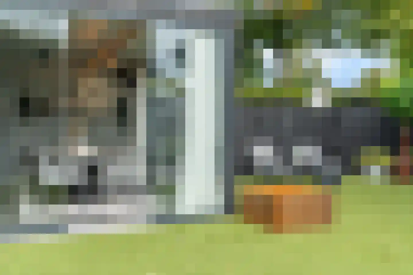 Vogelenzang 31 Lieshout thumbnail 63