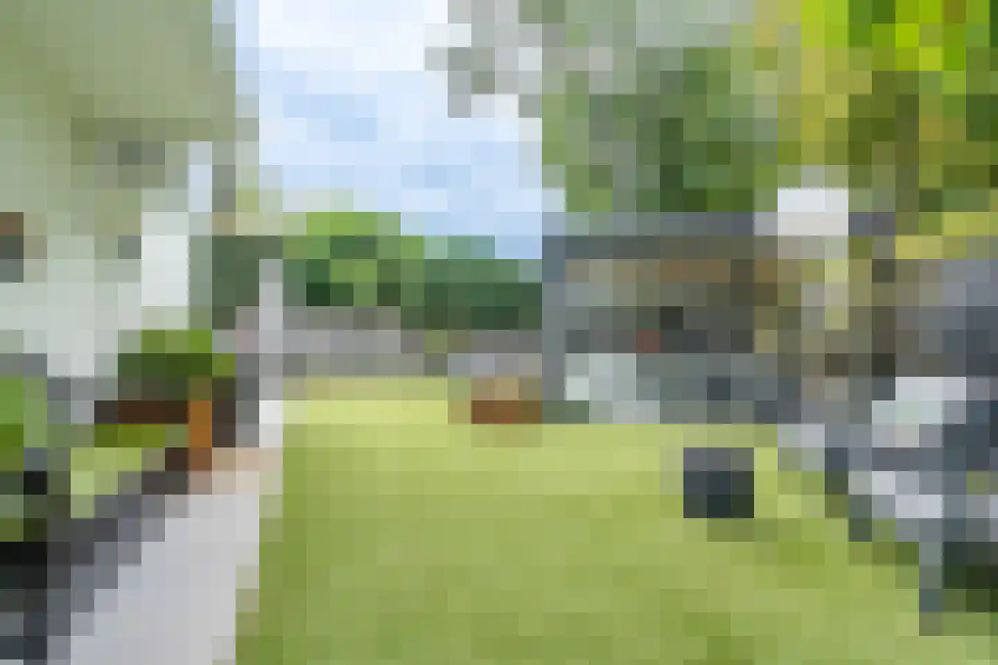 Vogelenzang 31 Lieshout thumbnail 65