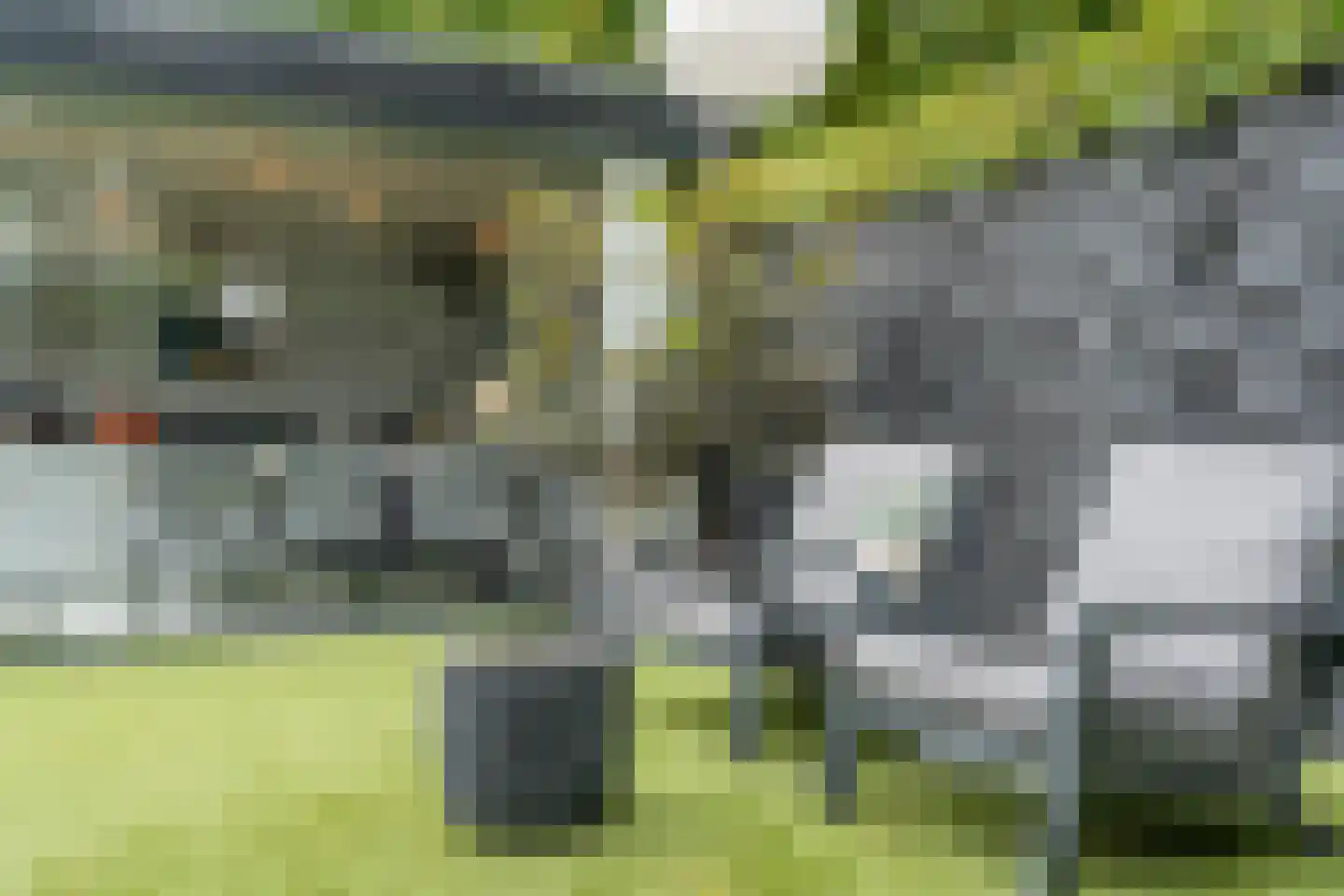 Vogelenzang 31 Lieshout thumbnail 66