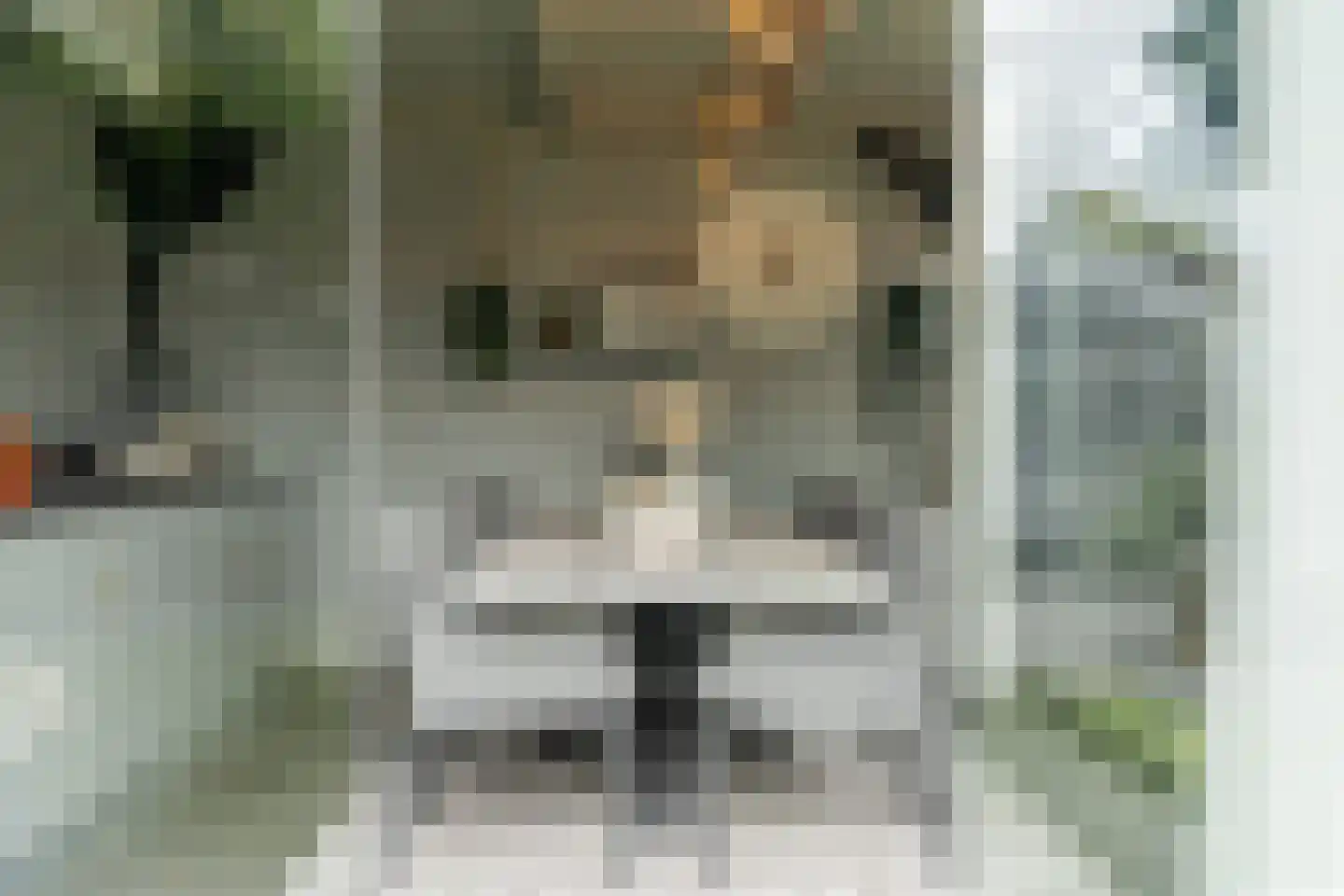 Vogelenzang 31 Lieshout thumbnail 67