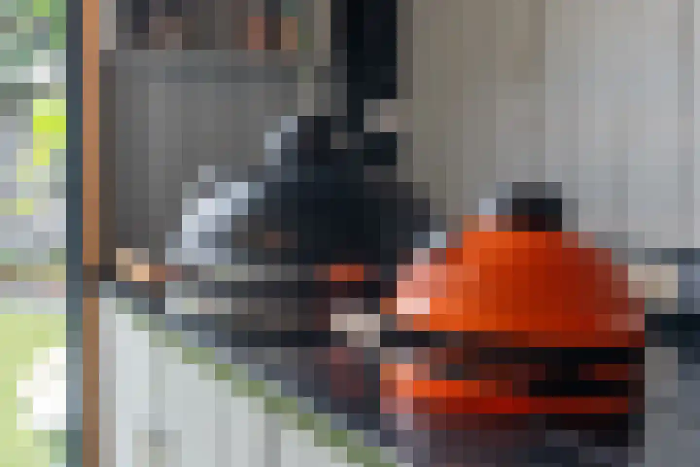 Vogelenzang 31 Lieshout thumbnail 69