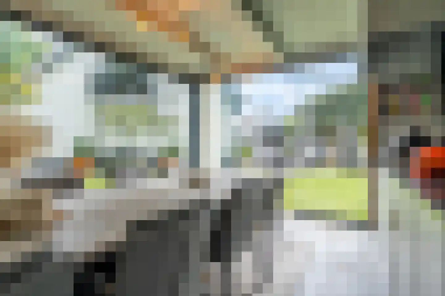 Vogelenzang 31 Lieshout thumbnail 70