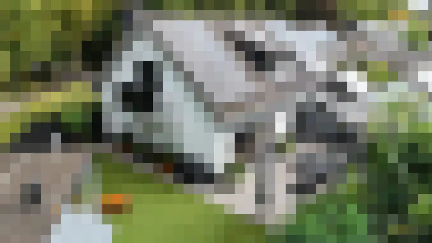 Vogelenzang 31 Lieshout thumbnail 74