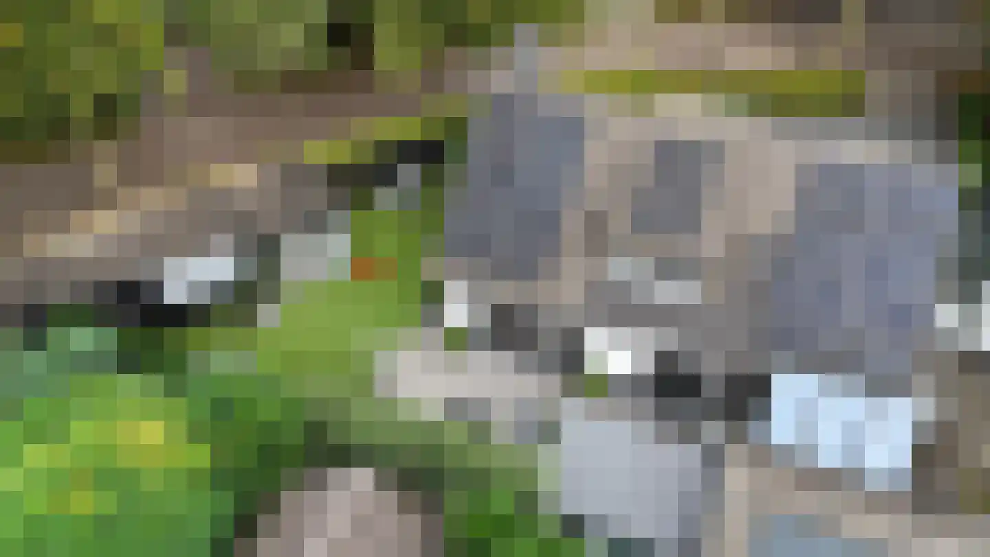 Vogelenzang 31 Lieshout thumbnail 75