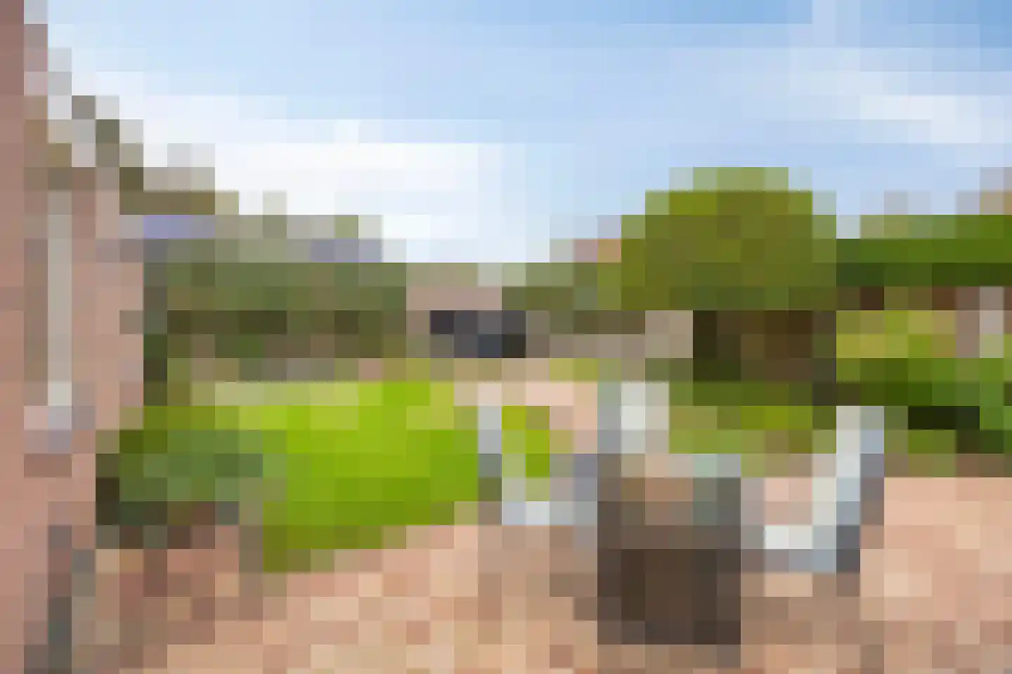 Vogelenzang 33 Lieshout thumbnail 34