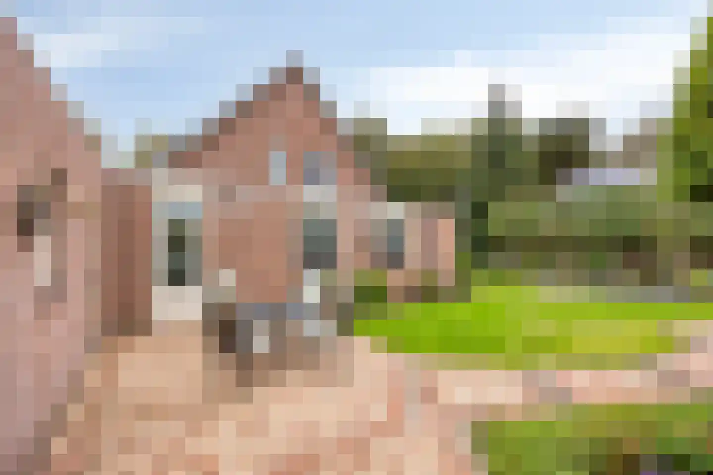 Vogelenzang 33 Lieshout thumbnail 35