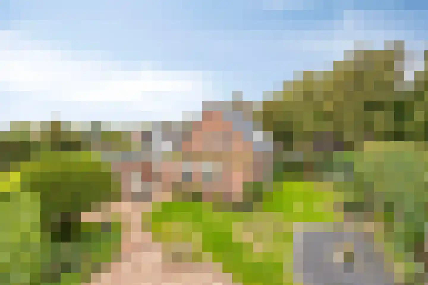 Vogelenzang 33 Lieshout thumbnail 37