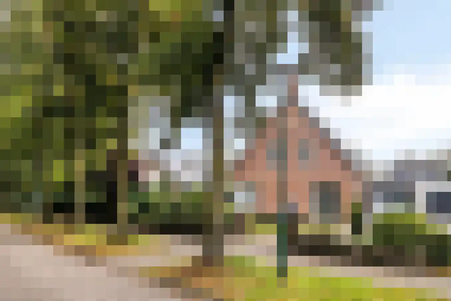 Vogelenzang 33 Lieshout thumbnail 39