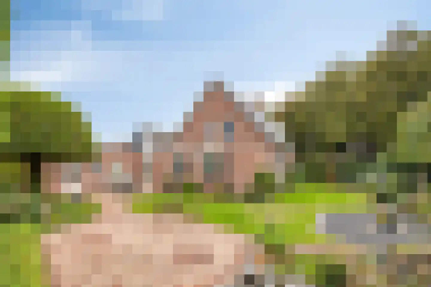Vogelenzang 33 Lieshout thumbnail 4