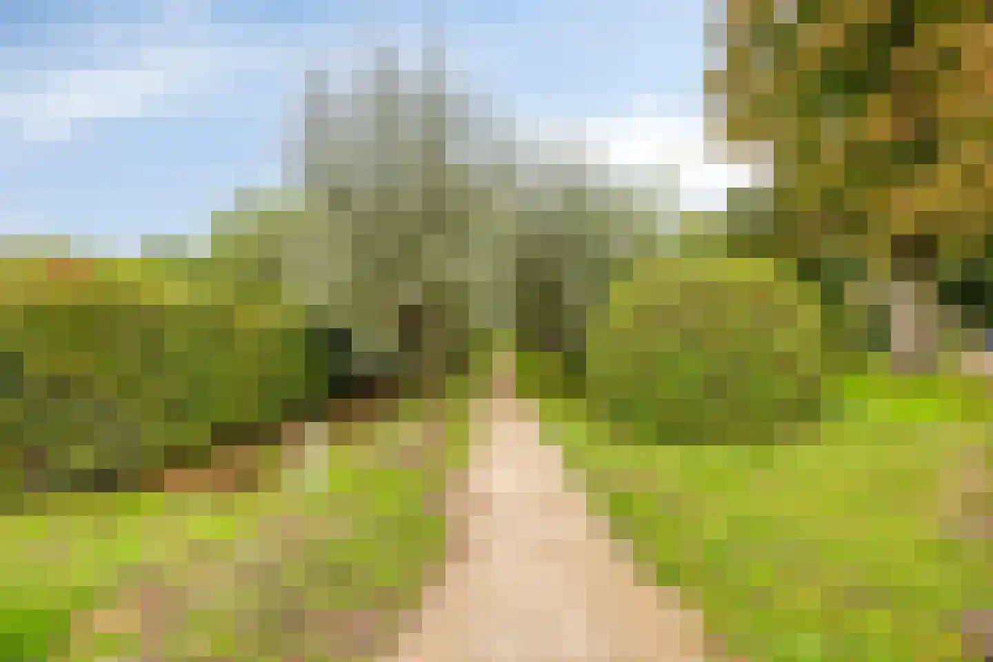 Vogelenzang 33 Lieshout thumbnail 42