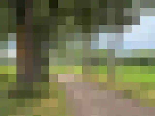 Vogelenzang 33 Lieshout thumbnail 44