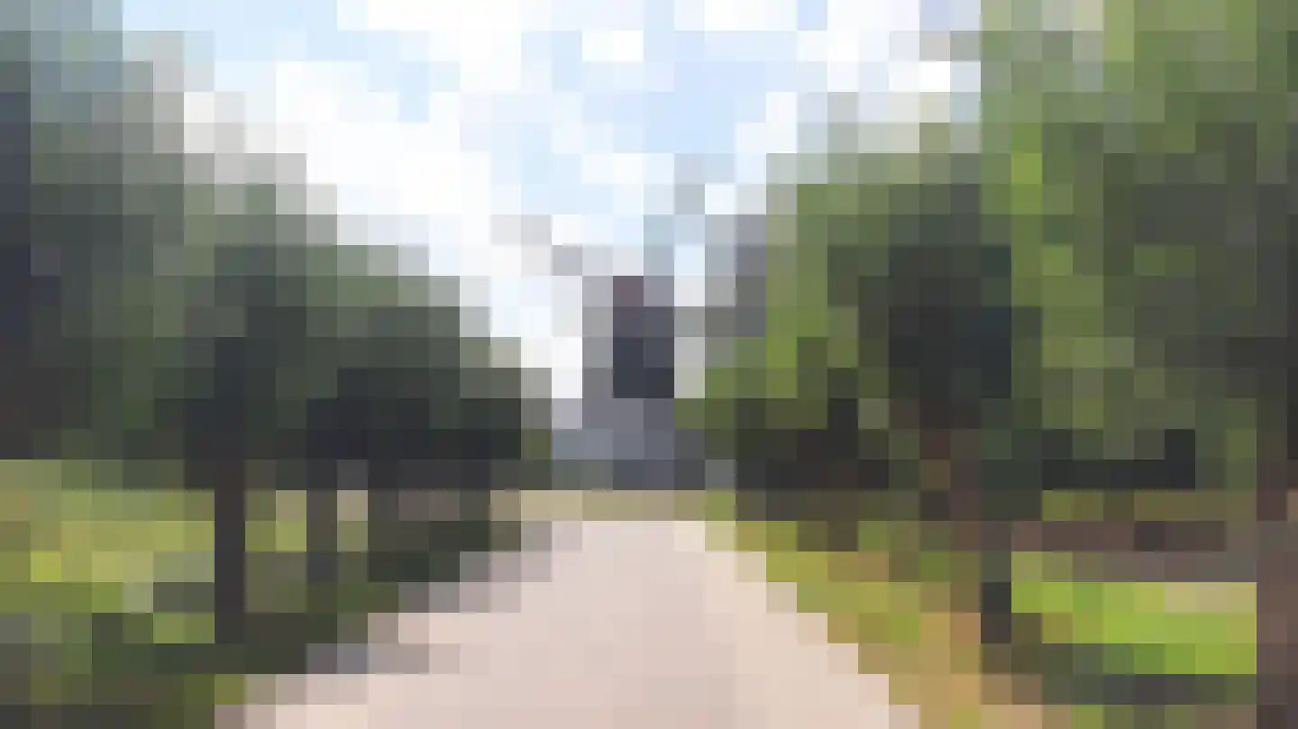Vogelenzang 33 Lieshout thumbnail 47