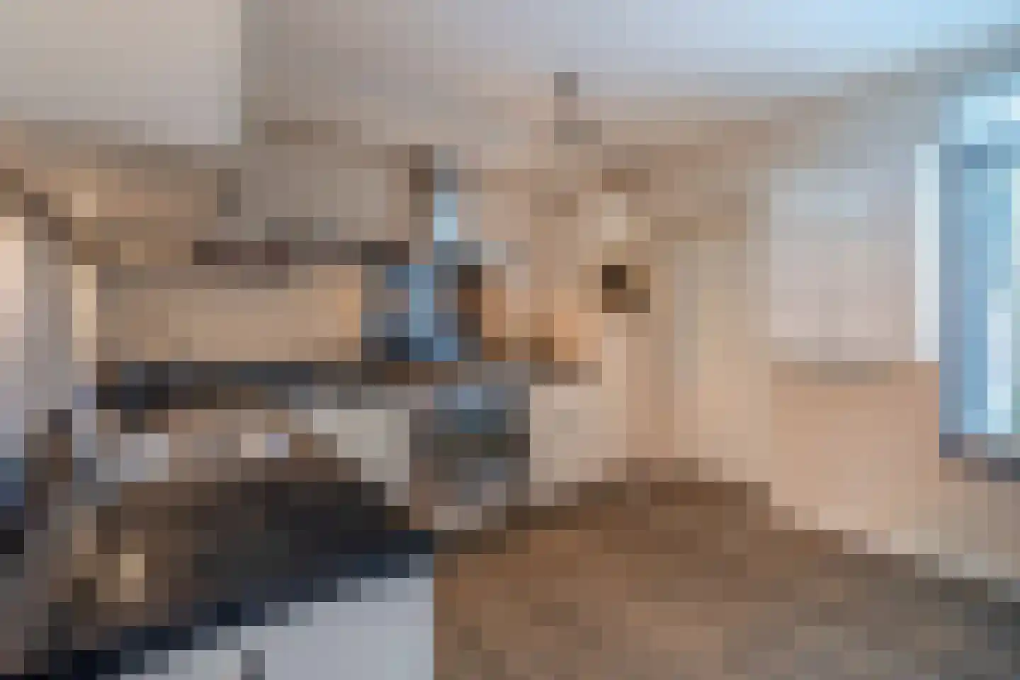 Vogelenzang 35 Kaatsheuvel thumbnail 15