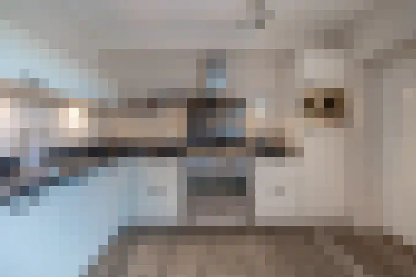 Vogelenzang 35 Kaatsheuvel thumbnail 17