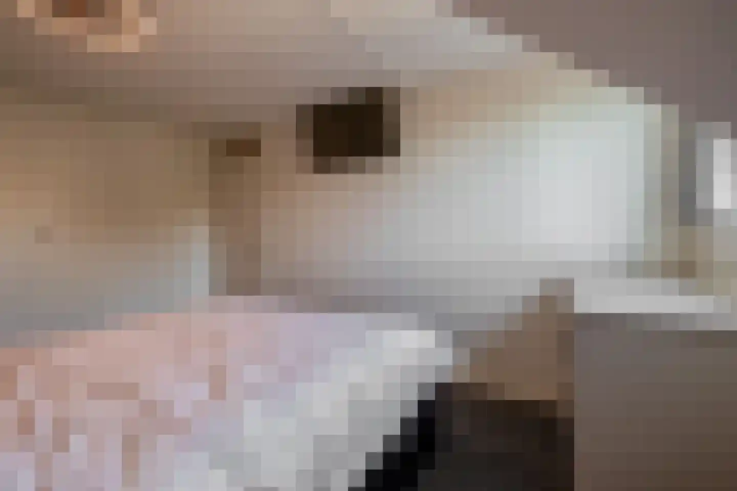 Vogelenzang 35 Kaatsheuvel thumbnail 27
