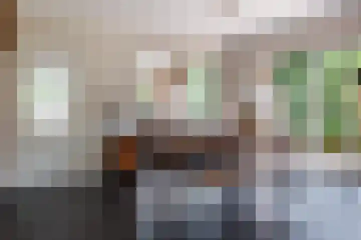 Vogelenzang 37 Lieshout thumbnail 16
