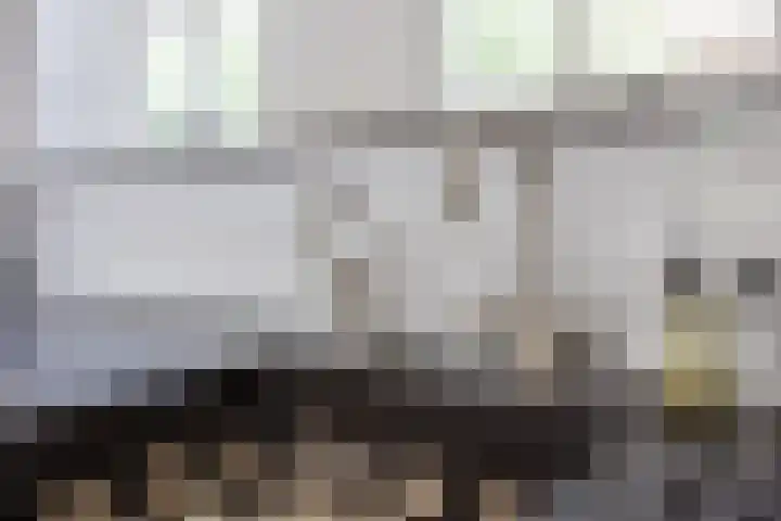 Vogelenzang 37 Lieshout thumbnail 22